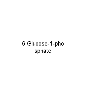 6 Glucose-1-phosphate